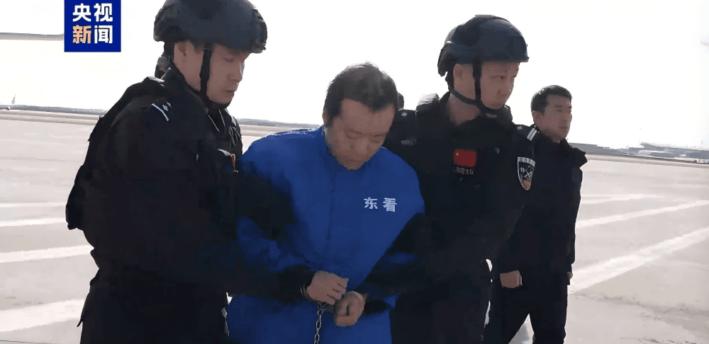 “陈志”案深度解析 | 陈志被押解回国只是开始,接下来的这三点才更值得关注!