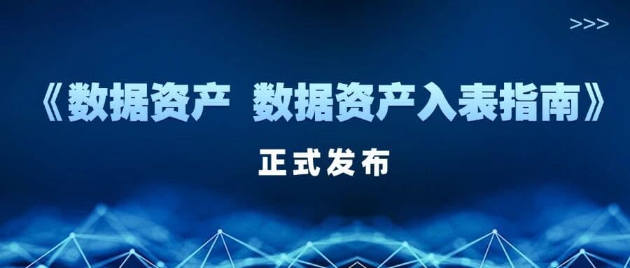 喜讯!盛廷律所参编《数据资产 数据资产入表指南》正式发布
