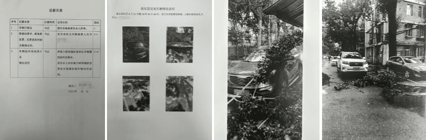 3杨兴艳律师的暖心故事:法律有温度,公益有力量.png