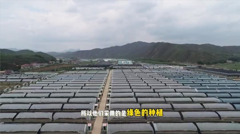 4让更多人尝到地道家乡味——盛廷律所第五届家乡代言助农活动开启!.jpg